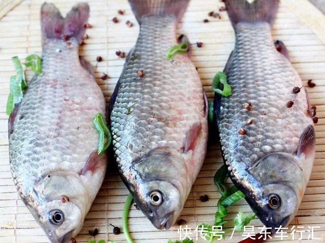 寒性食物|孕妈注意,胎儿“最怕”4物食物,不要因为嘴馋,而导致胎儿畸形