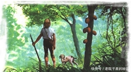 如果你一个人漂流到一个荒无人烟的小岛上,你会怎么办?