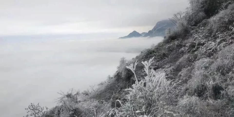 实拍！2021汶川第一场雪，来来来啦！