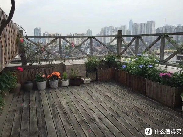 露台花园成型记（篇二）