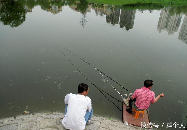 垂钓的钓竿|野钓,黑坑和竞技钓竿的核心在于垂钓特性---皇禾钓具