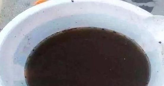 用生根水、淘米水养花，都赢不了这种“万能水”，养啥旺啥