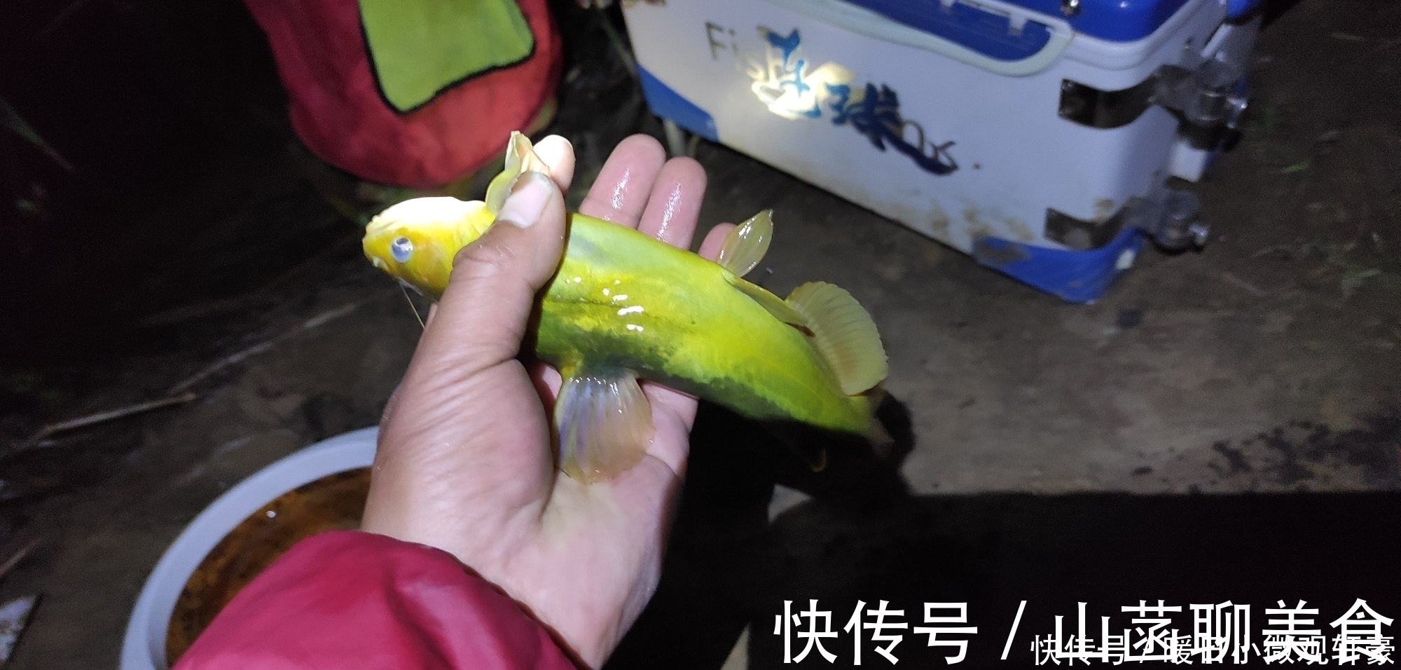 失误|野钓巨物细节决定成败,一次失误半月努力就白费了,慎重!