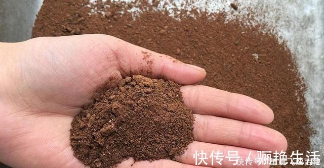 冬钓用饵,我从不加小药,试用这东西,简单又方便,大板鲫特爱吃