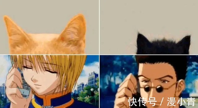 太宰治|把动漫人物换成“猫猫头”,人物顿时显得可爱了,但布姐yyds