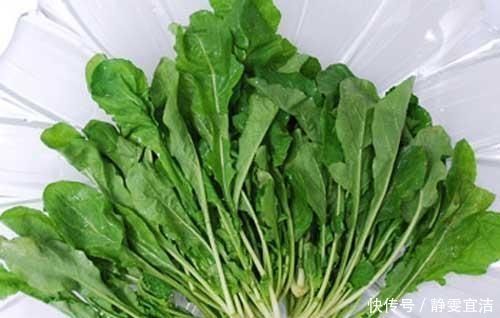 你吃过这道菜吗最喜欢吃这道菜的人