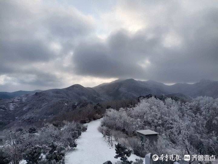 沂山|护林员镜头下的冬日沂山美翻了