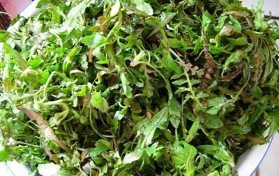 到处|田边1“野草”,学名护生草,以前到处见,如今却很少