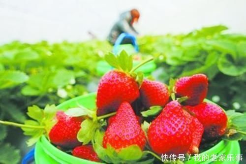 男友|初三女生没有男友,却“母乳”不断,医生检查后才发现问题出在这