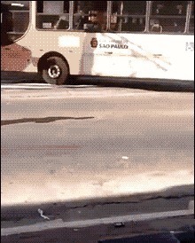 |搞笑GIF：太不像话了 我等了这么久你居然给我看这个