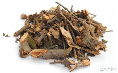 精血|一味充满“灵气”的中药!肾空了,它能补,腿疼了,它能止,请体会