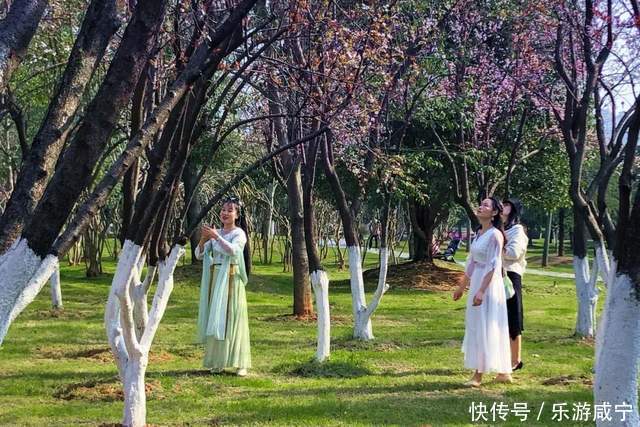 元宵节,带着你的“李焕英”“云”赏花吧!|春暖花开醉咸宁① |元宵节,带着你的“李焕英”“云”赏花吧!\",\"i12\":\"春暖花开醉咸宁①