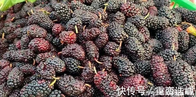 水果店|你还在买桑葚吃吗知道的人还不多，看后抓紧转告身边人