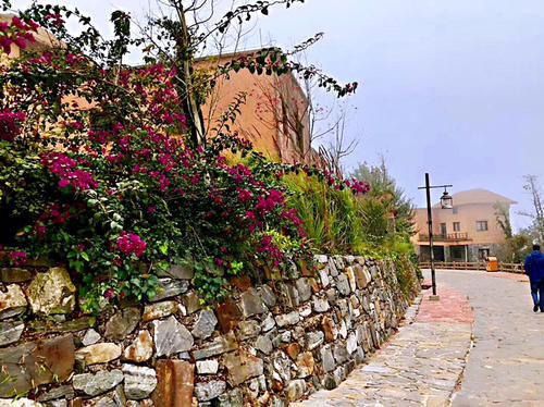 名气|游箐口梯田和哈尼族民俗村,品哈尼族美食,发现村民建房竟然可以不花钱