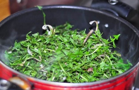 “蒲公英的约定”这种常见的野菜原来还有清肠的作用!