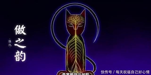 文宗四守|盘点《京剧猫》十二宗派，吃货白糖竟是……