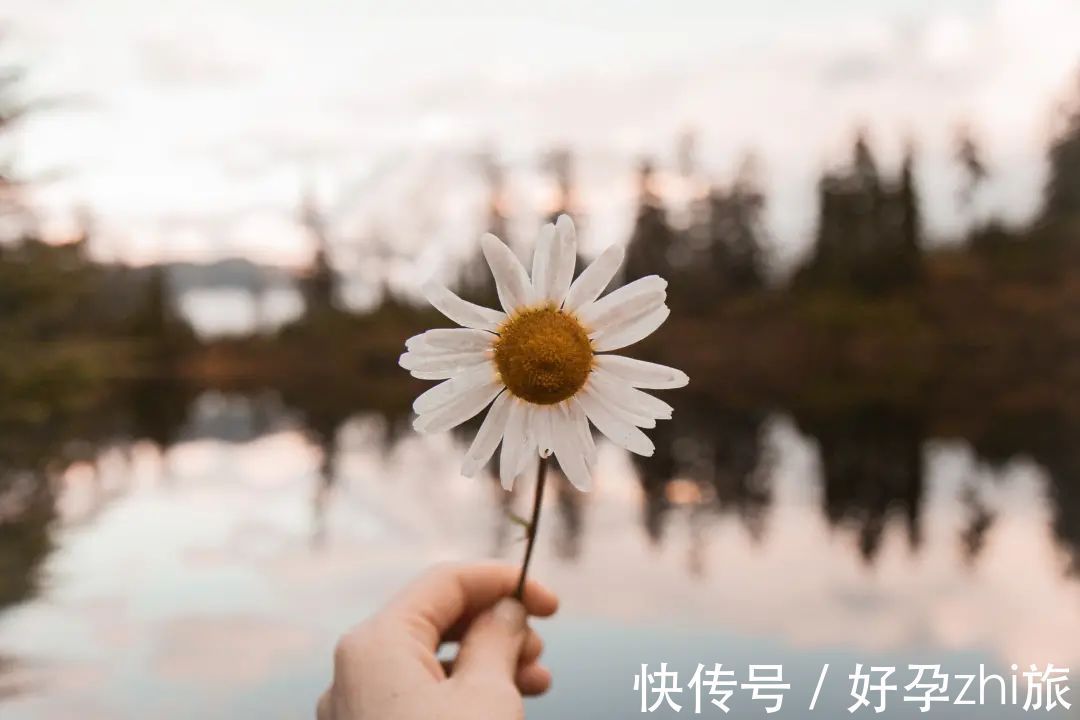 试管|【孕路】走试管婴儿之路,身体要健康,内心要强大