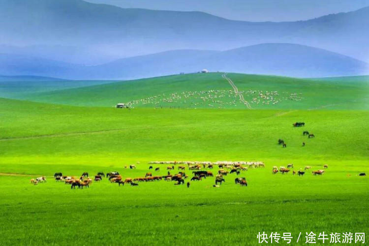 美丽的锡林郭勒大草原，最纯正的蒙元文化，最原始的游牧牧场