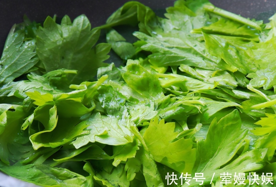 宝贝|大家都只吃其种子,原来叶子才是宝贝,花钱都很难买到