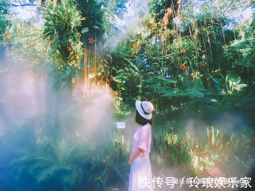 做一枚植物系青年到底有多快乐跟着小编去养养眼吧!