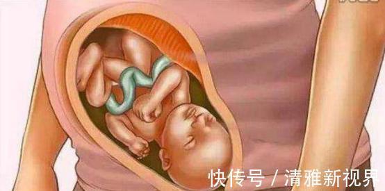 发育|宝宝是怎么被慢慢孕育出来的,十张过程图,一切来之不易