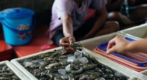 买虾时,如果遇到这5种,再便宜也不要买,健康才是第一位