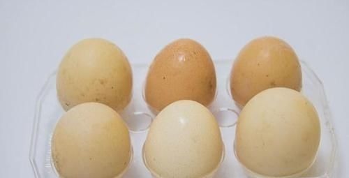 蛋白质|每天一个鸡蛋，到底是早上吃好，还是晚上吃好？医生解答了