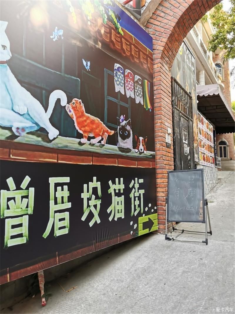 花海|厦门自由行