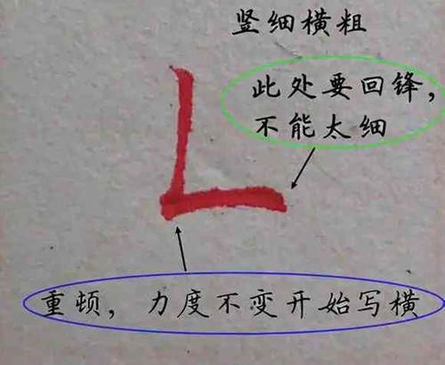 3年级男孩的作业本走红，字迹堪比“印刷体”，妈妈却开心不起来