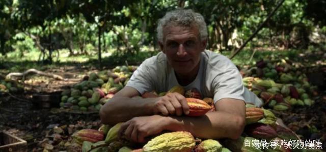 为什么这套巧克力能这么抢手