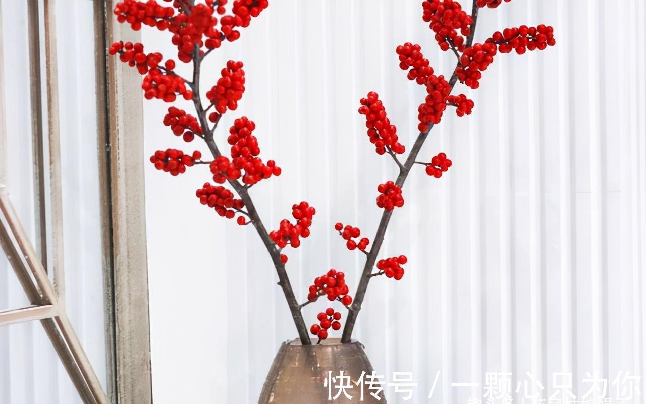 宝莲灯|8种价格昂贵的花卉,一盆好几百,有钱了一定要买一盆来养