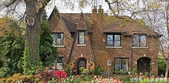 这7种树最能出效果,一旦花开就是人间仙境,花期最长可达半年!