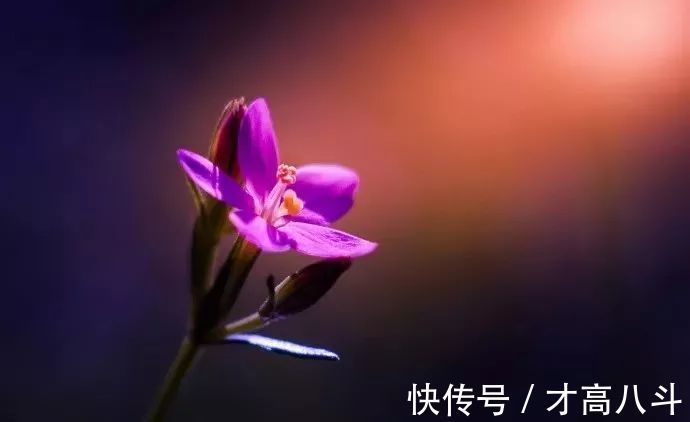 寄内!十位诗人写给妻子的诗,有怀念,有情话,有惋惜!