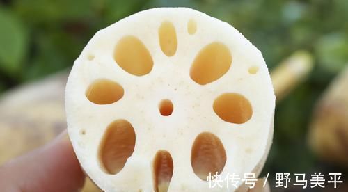 同样是莲藕，七孔的和九孔的有什么区别？买错了，难怪做菜不好吃