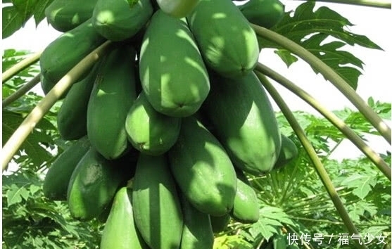 夏天|夏天肝火旺的人,多吃这些下火水果,养肝护肝两不误!