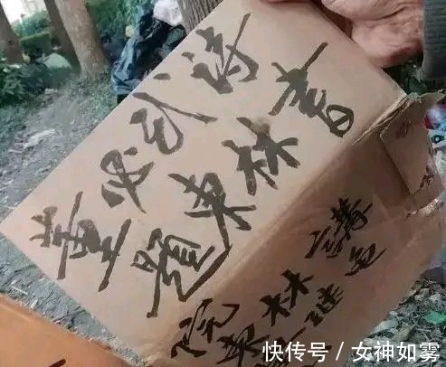 毛笔&流浪大师沈巍的书法,是书法吗?专家:谈不上书法,字都还没写好