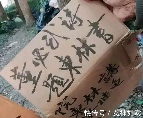 毛笔&流浪大师沈巍的书法，是书法吗？专家：谈不上书法，字都还没写好