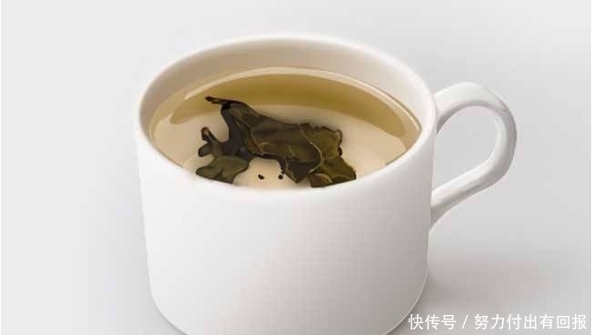 叶片|养花长虫怎么办?学会使用这三物,保证植物长得好,叶片绿油油!