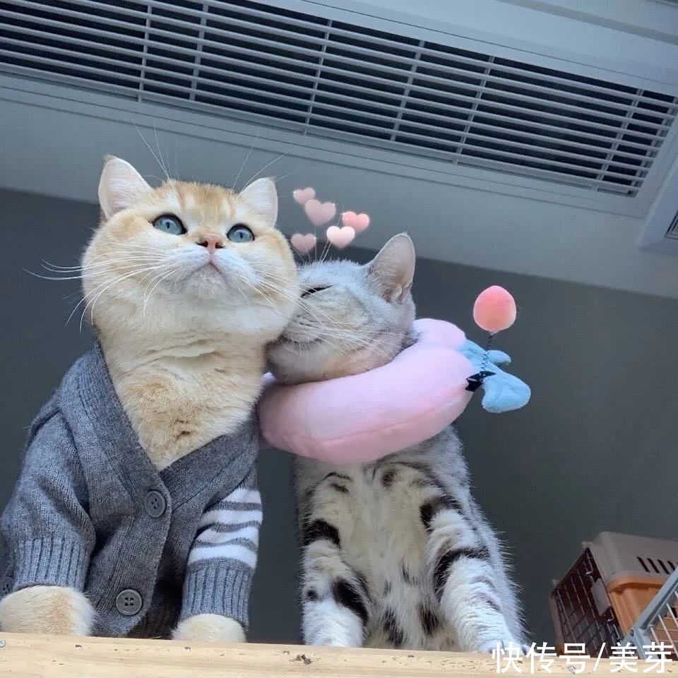 大海|今日头像丨大海和你