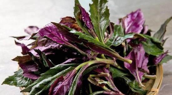 海带|女性多吃以下食物,刮油减肥,清热解暑,养颜护肤,早食早好