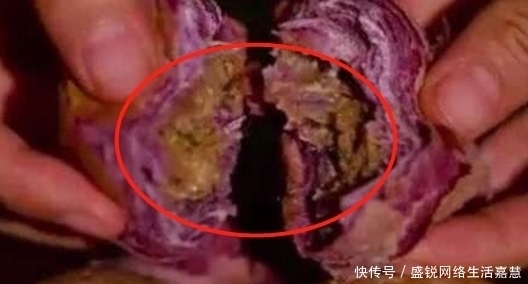 李子|李子柒螺蛳粉摊上事后,自制“蛋黄酥”也翻车,网友:这谁敢吃!