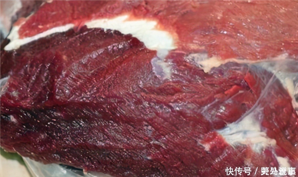 职业运动员|挪威男子吃生牛肉健身10年,如今被兽化,体型夸张却抱得美人归