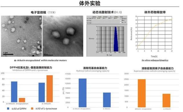 这种皮肤微生态和载体领域的黑科技，为何深受国际护肤品牌青睐？