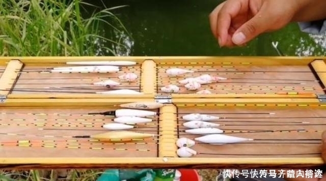 六月了,板鲫“狡猾”又难钓,多亏二十年老司机指点才钓过了瘾