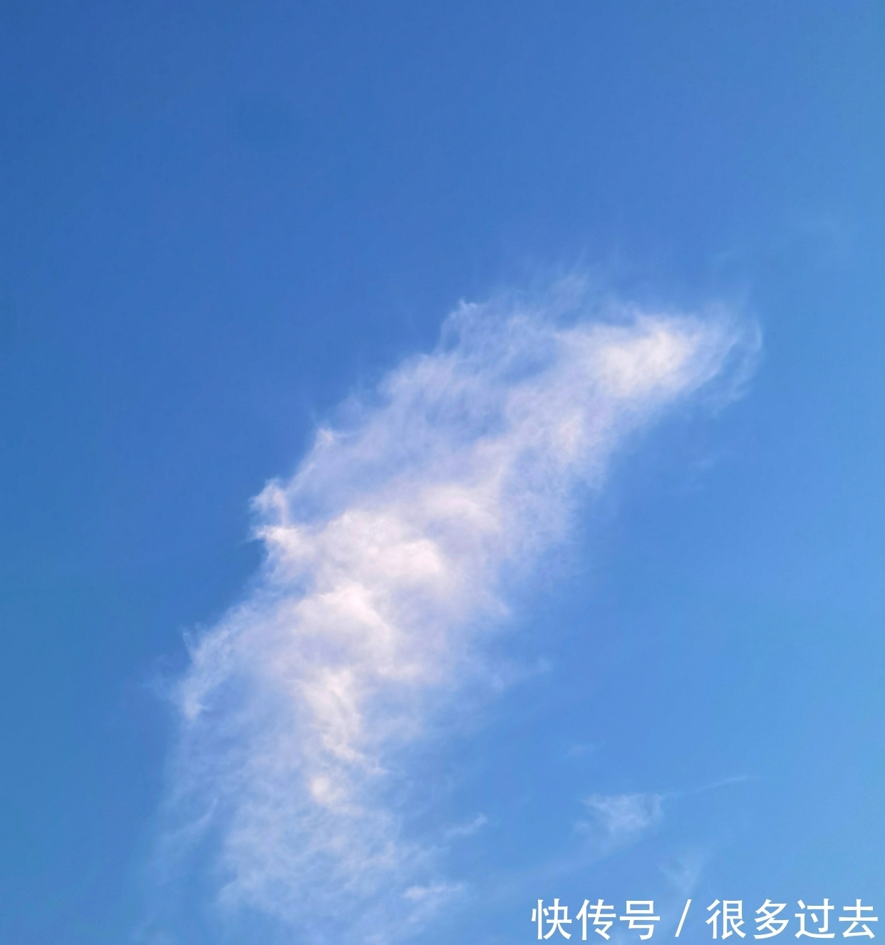 散文|原创散文:武汉的云,故乡的云