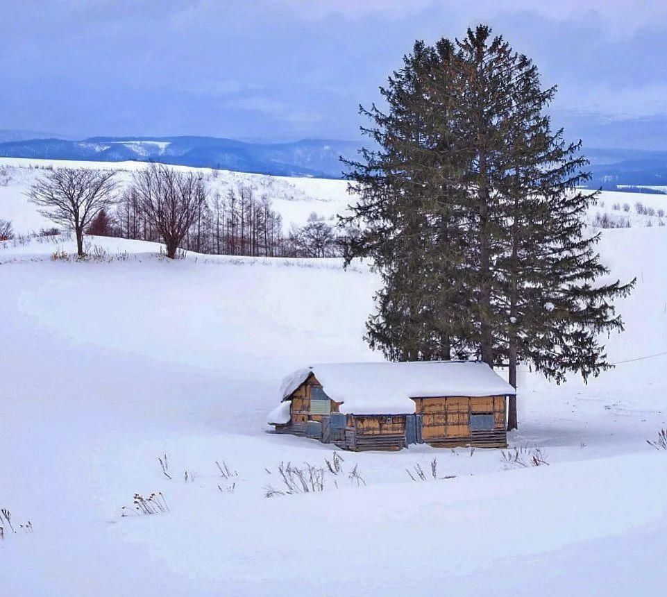 冰雪世界，温暖小屋