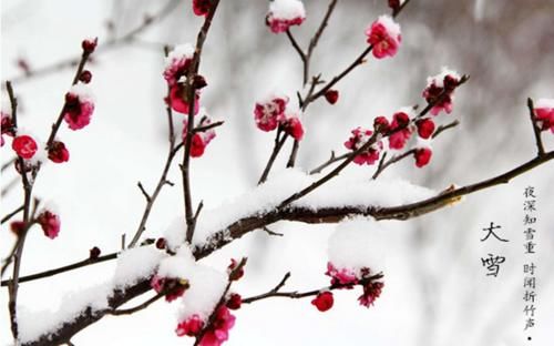  大雪节气|农谚“大雪不冻倒春寒，大雪不寒明年旱”啥意思？今年冬天会冷吗