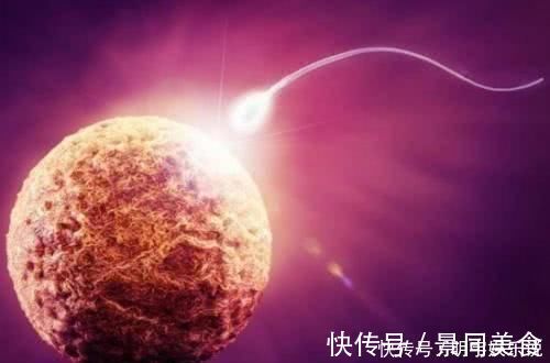 输卵管|如果卵子没遇到精子,那么排出的“卵子”去了哪里害羞也看完