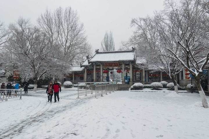 寒梅傲雪|瑞雪兆丰年