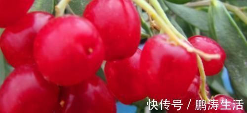 苹果酸|女性过了40岁老的快,要坚持吃3种食物,滋润肌肤,越活越年轻